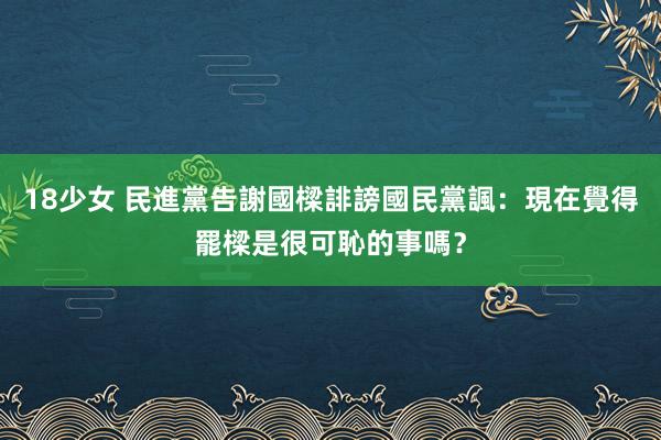 18少女 民進黨告謝國樑誹謗　國民黨諷：現在覺得罷樑是很可恥的事嗎？