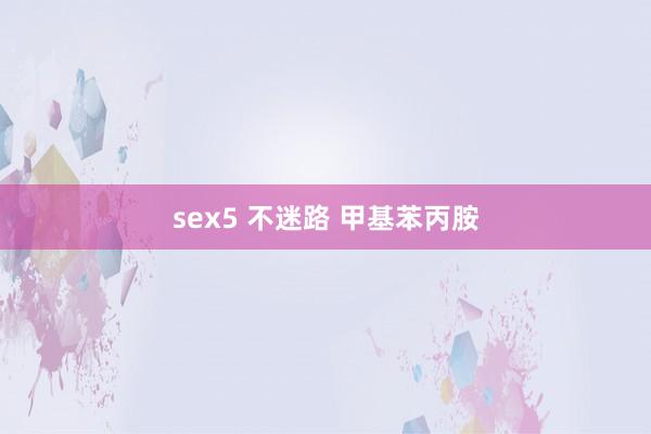 sex5 不迷路 甲基苯丙胺