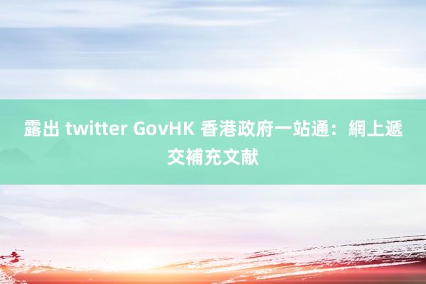 露出 twitter GovHK 香港政府一站通：網上遞交補充文献